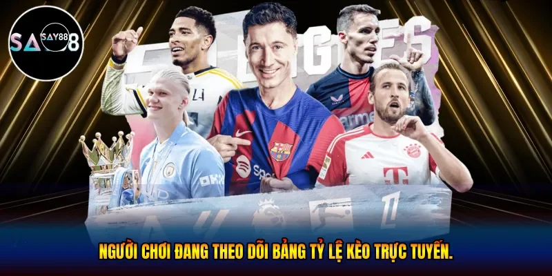 Người chơi đang theo dõi bảng tỷ lệ kèo trực tuyến